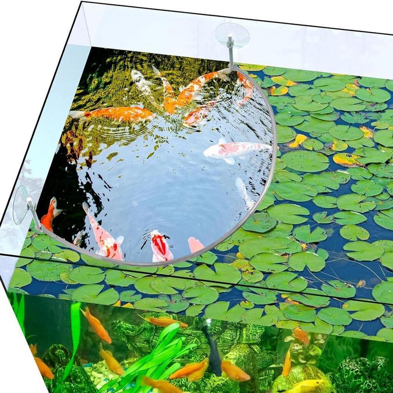 浮遊植物囲い魚の給餌リングは浮遊植物を分離して保護します給餌 - Aquael Filter Fzn のレビューと価格